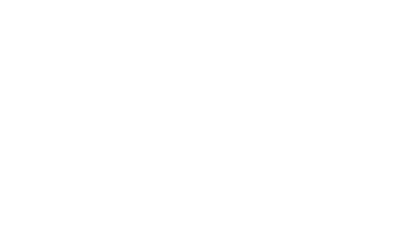 Logo Academy Punto Sud